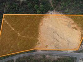  Land for sale in Don Sila, Wiang Chai, Don Sila