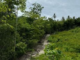  Grundstück zu verkaufen in Koh Samui, Surat Thani, Na Mueang