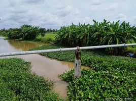  Land for sale in Pak Tho, Ratchaburi, Pak Tho, Pak Tho