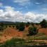  Land for sale in Loei, Phon Sung, Dan Sai, Loei