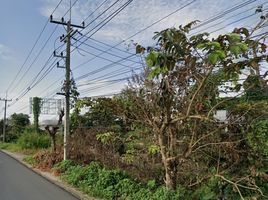  Land for sale in Nang Lae, Mueang Chiang Rai, Nang Lae