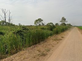  Grundstück zu verkaufen in Lam Luk Ka, Pathum Thani, Phuet Udom, Lam Luk Ka