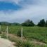  Land for sale in Hua Hin Prachuap Khiri Khan, Hua Hin City, Hua Hin