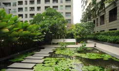 Photo 2 of the Communal Garden Area at The Seed Memories Siam