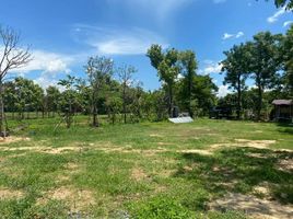  Land for sale in Samran Rat, Doi Saket, Samran Rat