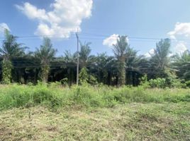  Land for sale in Sai Thong, Bang Saphan Noi, Sai Thong