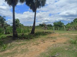  Grundstück zu verkaufen in Ban Pong, Ratchaburi, Nong O