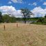  Land for sale in Thalang Phuket, Pa Khlok