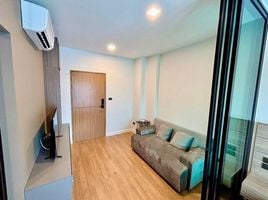 คอนโด 1 ห้องนอน ให้เช่า ในโครงการ อะไรซ์ คอนโด แอท มหิดล, ป่าแดด