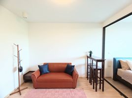 1 Bedroom Condo for rent at Connext, Talat Nuea, Phuket Town