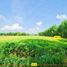  Land for sale in Thailand, Phra Lap, Mueang Khon Kaen, Khon Kaen, Thailand