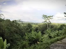  Grundstück zu verkaufen in Thalang, Phuket, Pa Khlok, Thalang, Phuket, Thailand