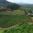  Land for sale in Thep Krasattri, Phuket, Thep Krasattri, Thalang