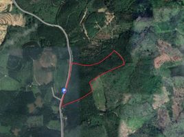  Land for sale in Phangnga, Lam Phi, Thai Mueang, Phangnga