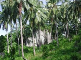  Land for sale in Maret, Koh Samui, Maret