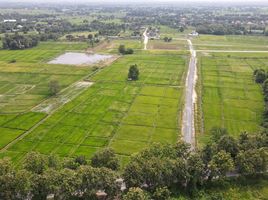  Grundstück zu verkaufen in San Kamphaeng, Chiang Mai, Chae Chang, San Kamphaeng