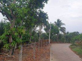  Land for sale in Ban Rai, Damnoen Saduak, Ban Rai