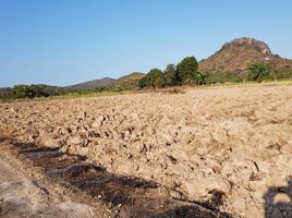  Land for sale in Pran Buri, Prachuap Khiri Khan, Wang Phong, Pran Buri