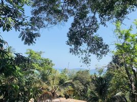  Land for sale in Phuket, Rawai, Phuket Town, Phuket