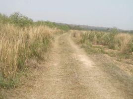  Grundstück zu verkaufen in Sikhio, Nakhon Ratchasima, Lat Bua Khao