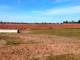  Land for sale in Na Menara Gueliz, Marrakech, Na Menara Gueliz