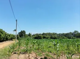  Grundstück zu verkaufen in Chiang Kham, Phayao, Ang Thong