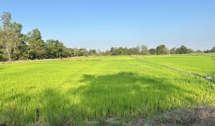 N/A Grundstück zu verkaufen in Nong Krot, Nakhon Sawan 