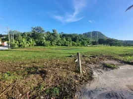  Land for sale in Thalang National Museum, Si Sunthon, Si Sunthon