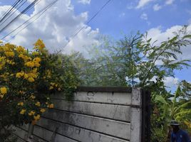  Grundstück zu verkaufen in Bang Kruai, Nonthaburi, Bang Khun Kong, Bang Kruai, Nonthaburi