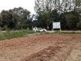  Land for sale in Nong Sarai, Pak Chong, Nong Sarai