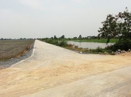  Land for sale in Airport Rail Link Station, Samut Prakan, Bang Bo, Bang Bo, Samut Prakan