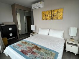 1 Schlafzimmer Wohnung zu vermieten im Coco Parc, Khlong Toei