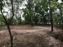  Land for sale in Khlong Yong, Phutthamonthon, Khlong Yong