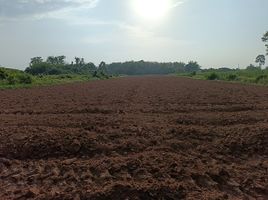  Land for sale in Bueng Phra, Mueang Phitsanulok, Bueng Phra
