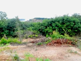  Land for sale in Thalang, Phuket, Pa Khlok, Thalang