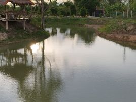  Land for sale in Mueang Lampang, Lampang, Phichai, Mueang Lampang