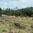  Land for sale in Maenam, Koh Samui, Maenam