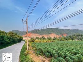  Land for sale in Mueang Chon Buri, Chon Buri, Mueang, Mueang Chon Buri