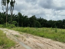  Grundstück zu verkaufen in Khlong Thom, Krabi, Phela