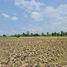  Land for sale in Chiang Rai, Huai Sak, Mueang Chiang Rai, Chiang Rai
