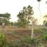  Land for sale in Bung, Mueang Amnat Charoen, Bung