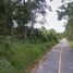  Land for sale in Phuket International Airport, Mai Khao, 