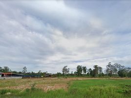  Land for sale in Si Sa Ket, Siao, Benchalak, Si Sa Ket