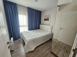 1 Schlafzimmer Wohnung zu vermieten im Kensington Sukhumvit – Thepharak, Thepharak, Mueang Samut Prakan, Samut Prakan, Thailand