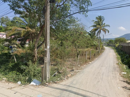  Grundstück zu verkaufen in Kathu, Phuket, Patong