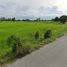  Grundstück zu verkaufen in Sam Chuk, Suphan Buri, Ban Sa