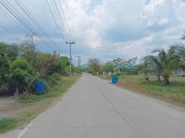  Grundstück zu verkaufen in Pak Chong, Nakhon Ratchasima, Khanong Phra