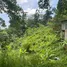  Land for sale in Karon, Phuket Town, Karon