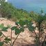  Land for sale in Surat Thani, Bo Phut, Koh Samui, Surat Thani