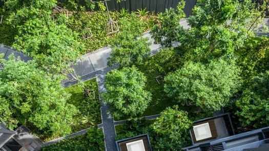 图片 1 of the Communal Garden Area at The Deck Patong